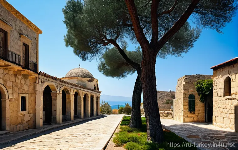 튀르키예 그리스 주요 이슈 - **Eastern Mediterranean: The Deep-Sea Energy Chessboard**
    "A sophisticated and conceptual depict...