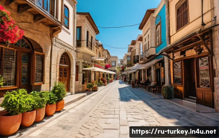 튀르키예 독립적 유적지 관광 가이드 - Here are three detailed image generation prompts in English, designed to capture the essence of inde...