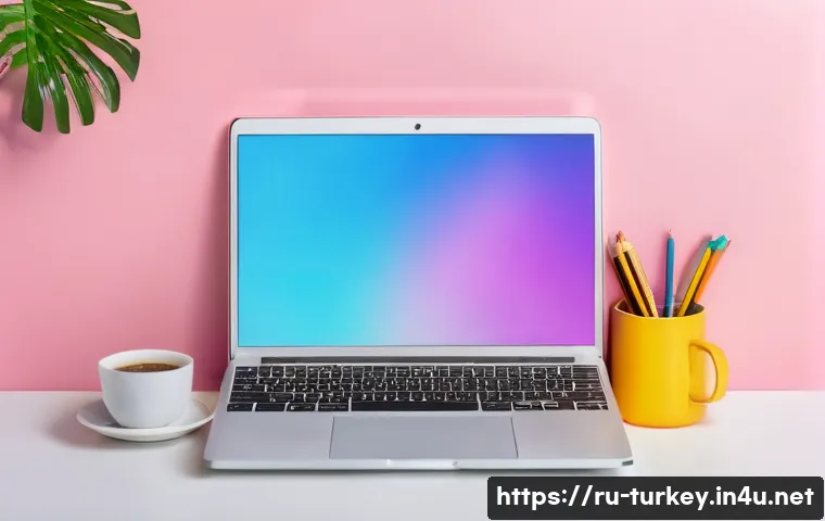 튀르키예의 전통적 예술 양식 관련 이미지 2