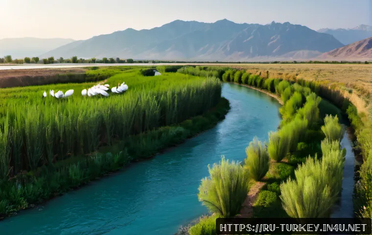 튀르키예 주요 하천 생태계 - Photorealistic panoramic view of the Euphrates River ecosystem in eastern Türkiye, clear turquoise w...