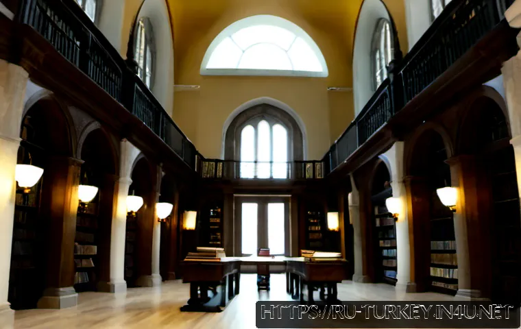 튀르키예의 도서관 및 문학관 - Photorealistic interior of a grand historic library in Istanbul, Turkey, soaring Ottoman arches, ele...